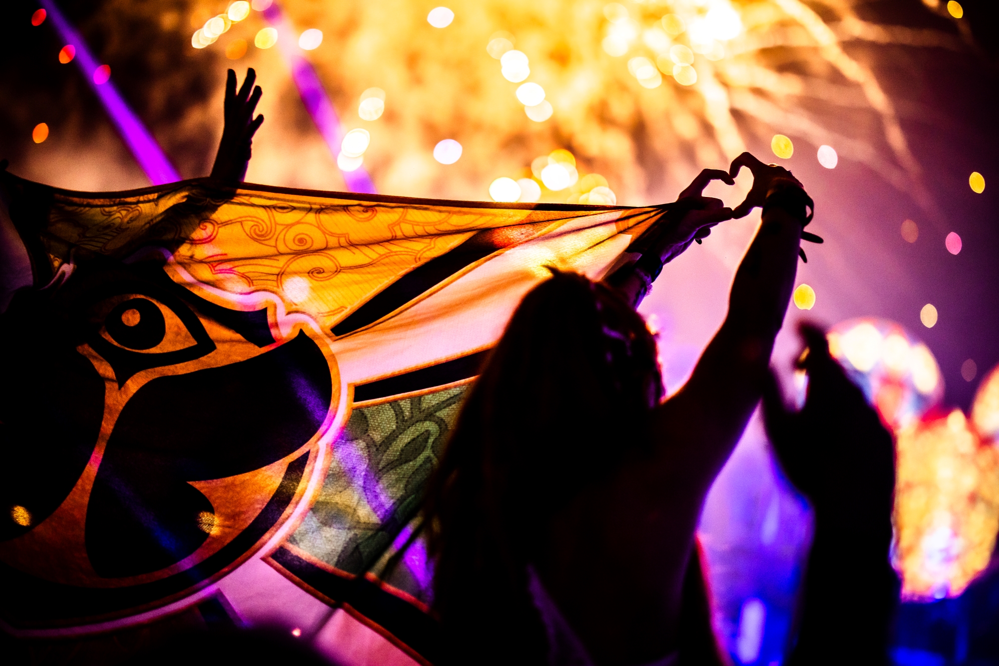 Mats Palinckx Tomorrowland