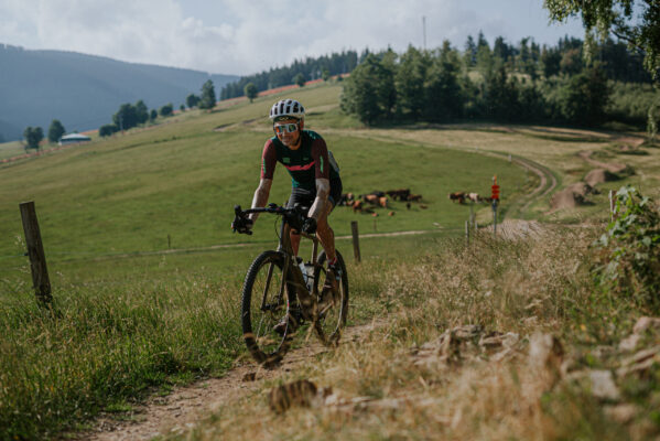 rider on a horizon on a field